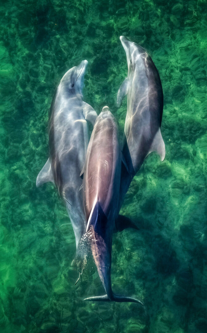 OSC_COM_MERC_FOTORADA05_20250311-scaled