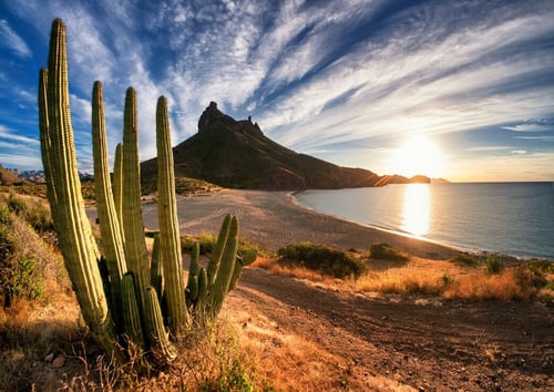 San Carlos a través del lente: el valor de su paisaje