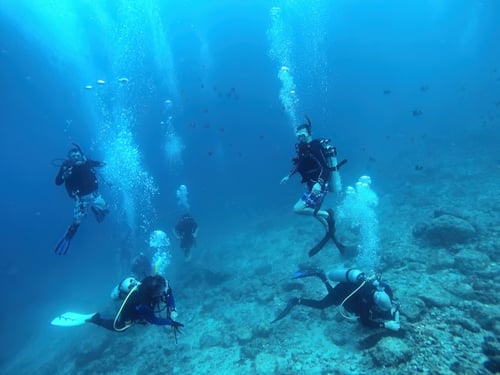 Por qué San Carlos enamora: buceo, comunidad y forma de vida distinta